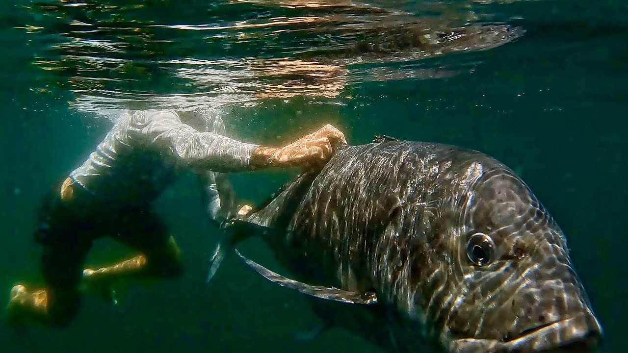 The Dream Fish (50+KG Giant Trevally)