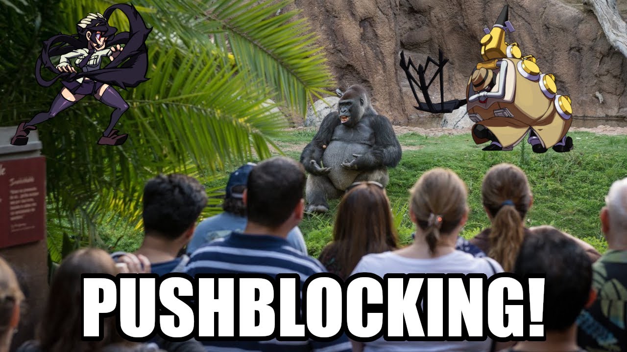 When to pushblock when not to pushblock - From chump to champ with chimps - Skullgirls