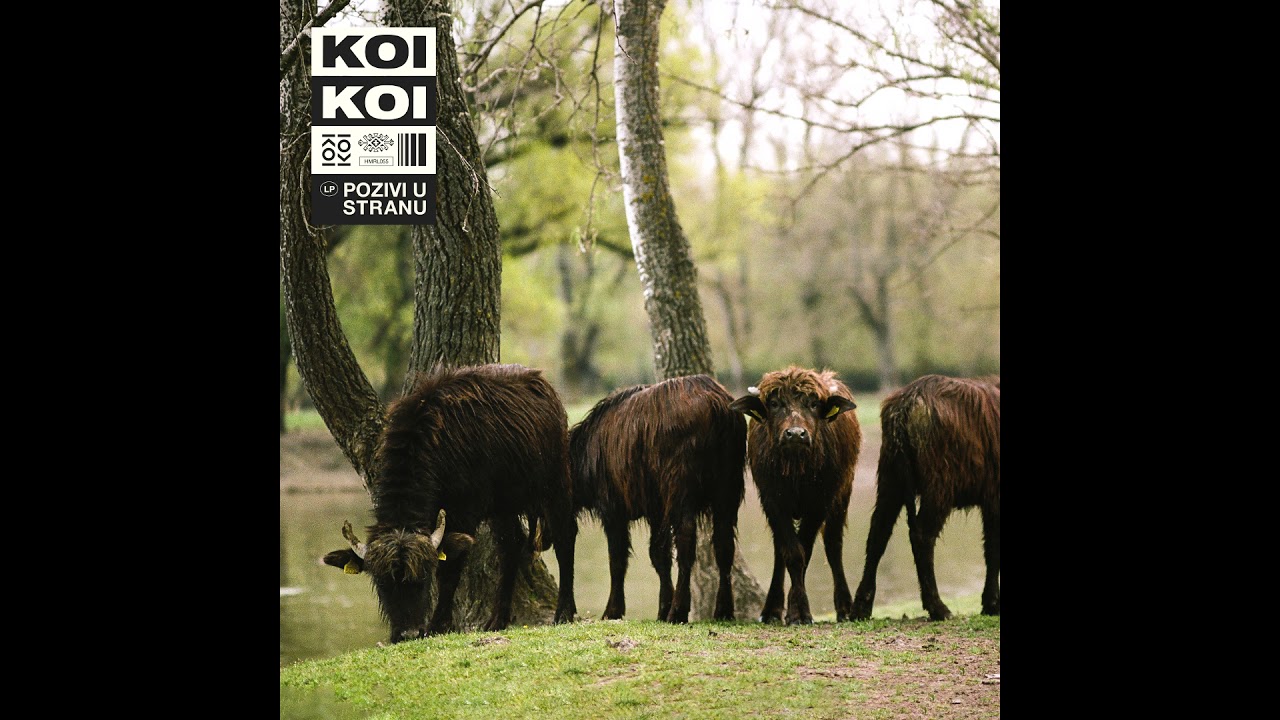 KOIKOI - One koje bole boje se i vole