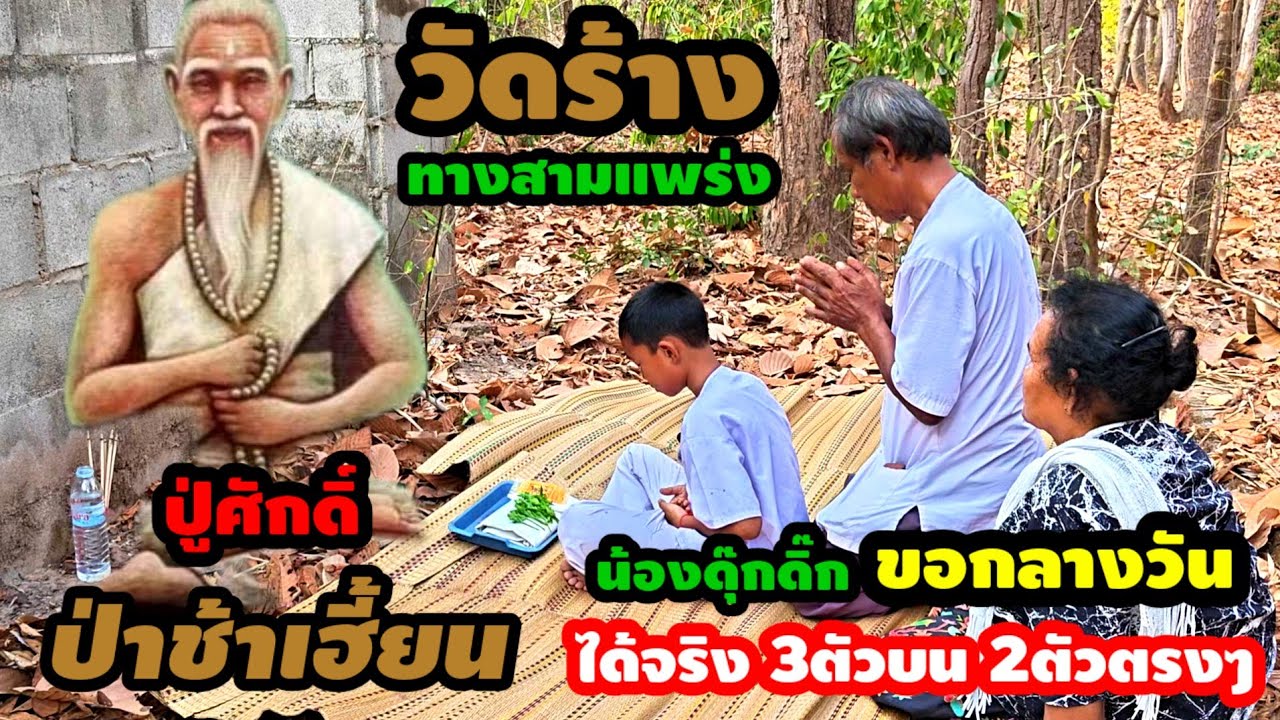 ขนลุก!!รีบดู!!(16 ก.พ 69)#น้องดุ๊กดิ๊ก นั่งสมาธิขอกันตรงๆ3ตัว#วัดร้างป่าช้าเฮี้ยนกลางวันแสกๆ