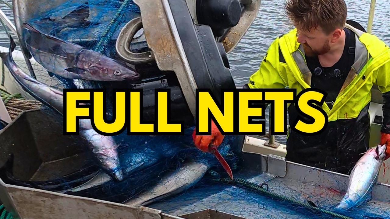 700 FULL Fishing Nets: Non-Stop Action (Best of Saithe Season) #19