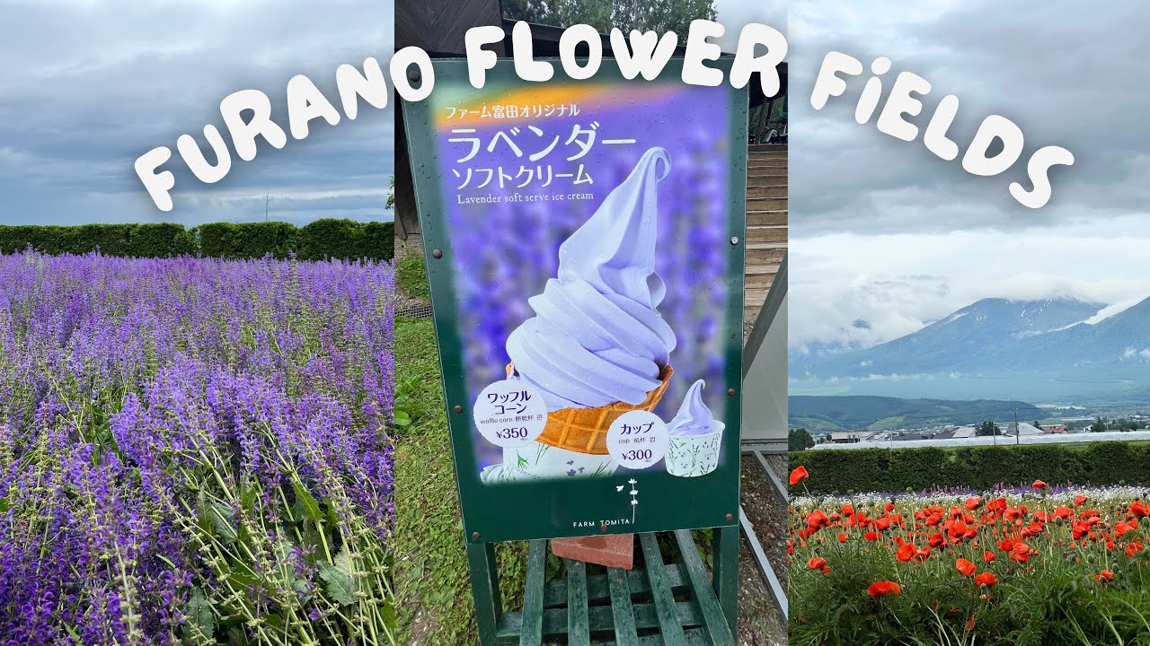 Visiting The Famous Furano Flower Fields At Farm Tomita In Furano, Japan!