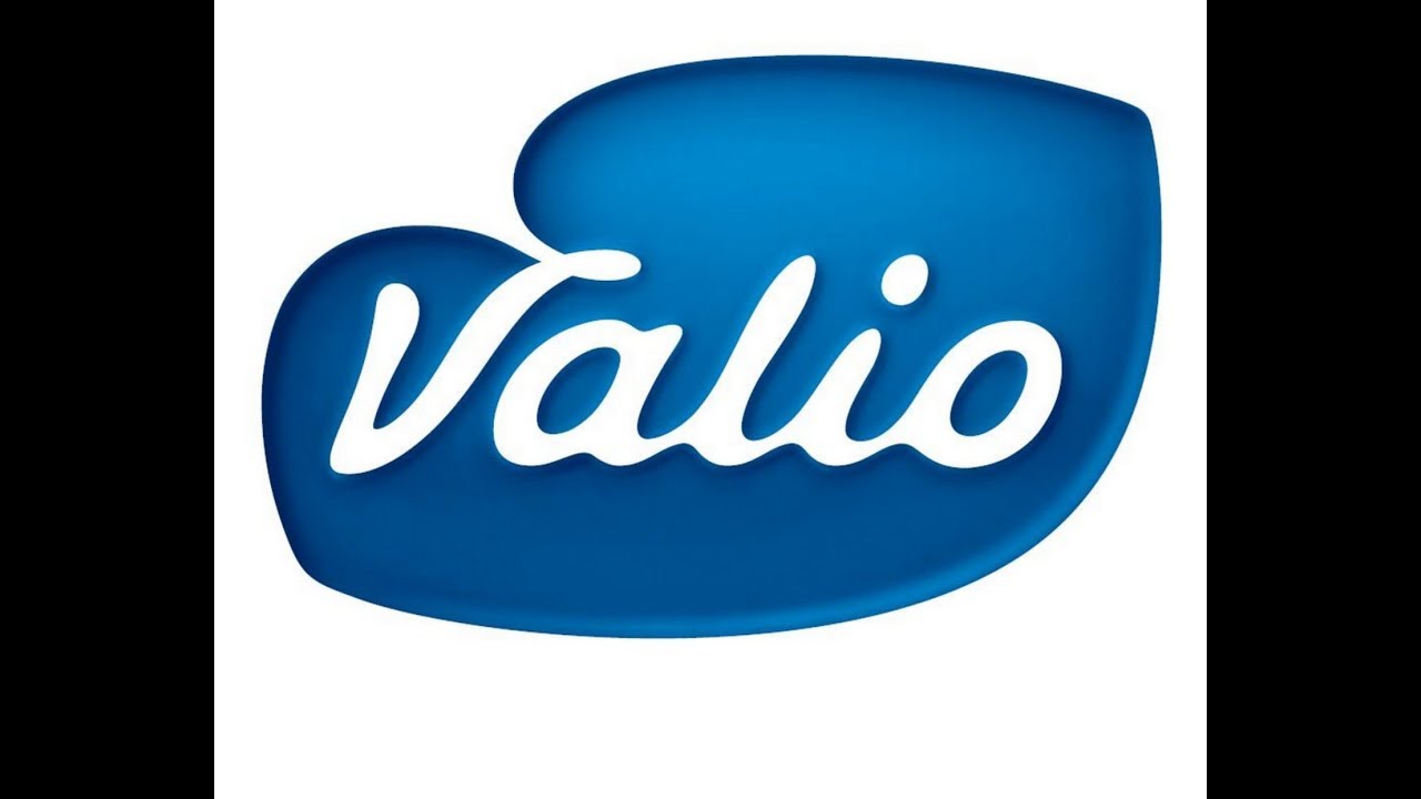 VALIO Company (Финляндия)