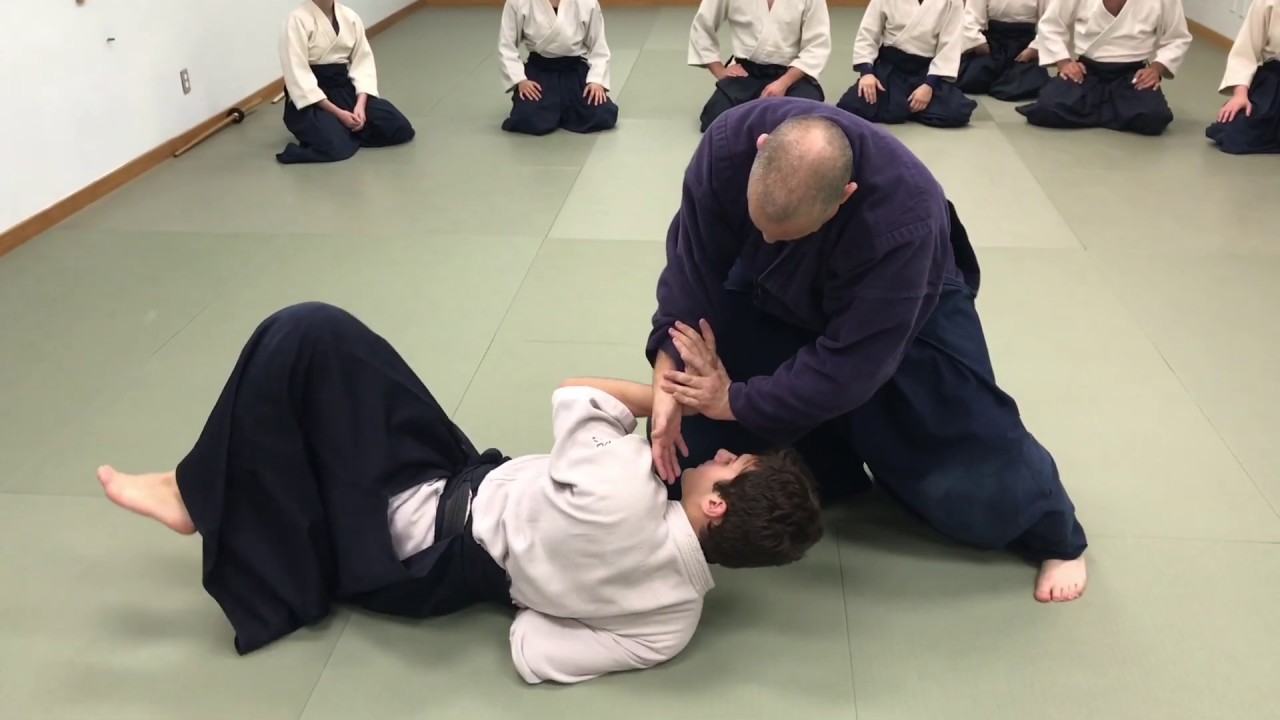 Aikido: Aiki in Nikyo
