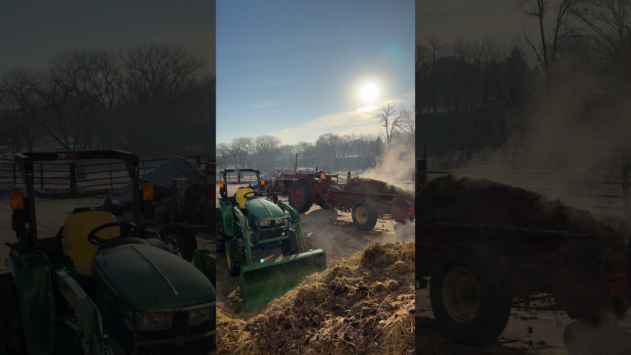 WINTER MANURE MISSION: JD3038 LOADS AND IH656 UNLOADS!