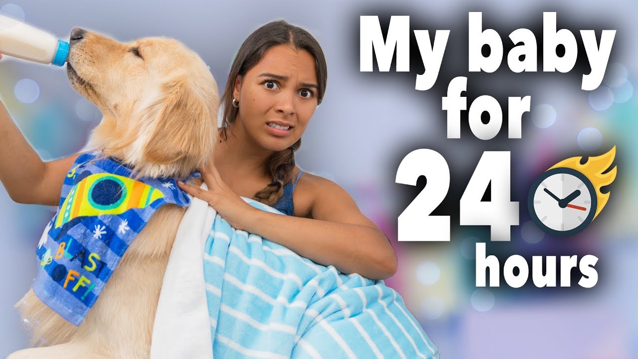 24 Hours Treating My Dog Like a Baby (cute!)