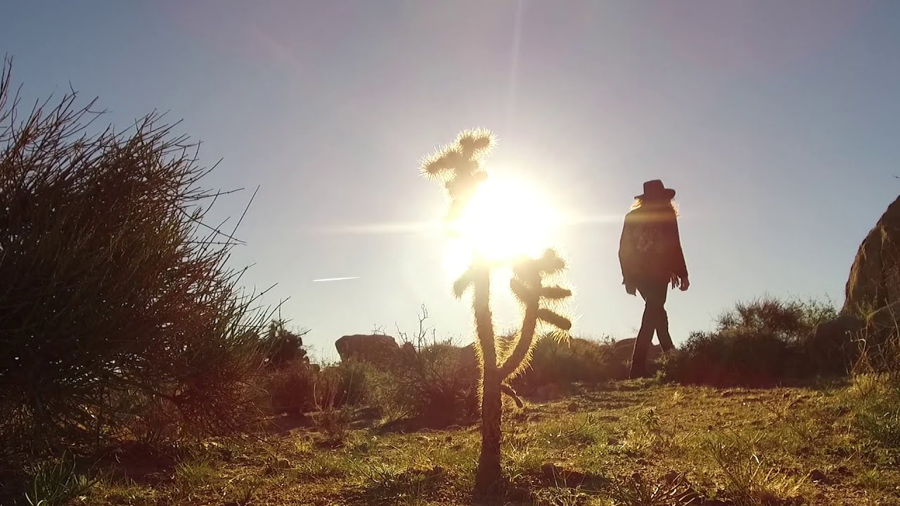 Roger Harvey - Twice As High (Official Music Video)