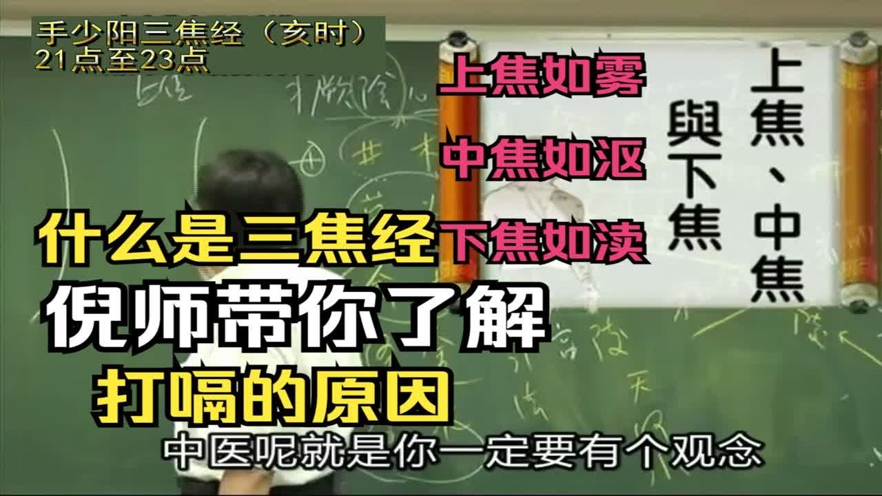 倪师：手少阳三焦经的介绍（决渎之官，水道出焉）