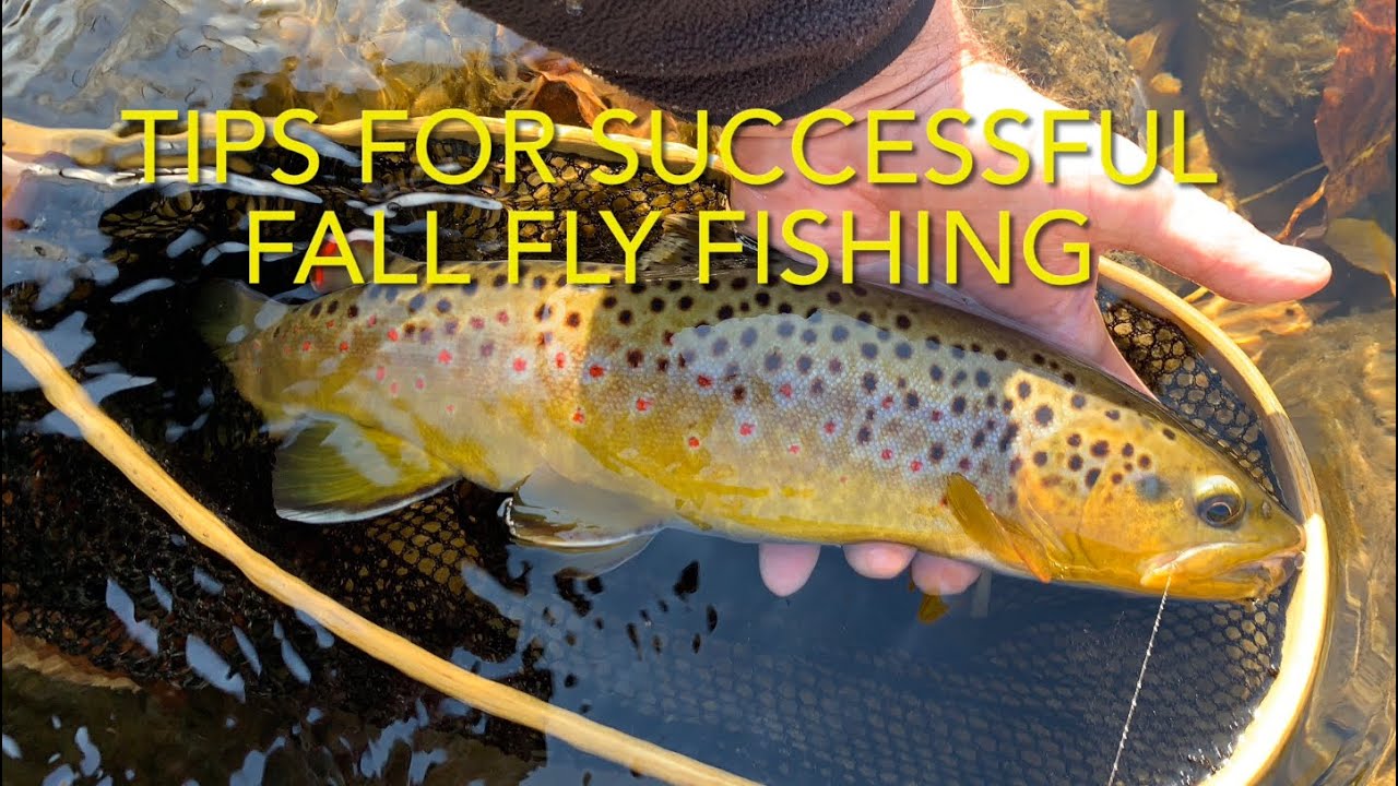 Tips for Successful Fall Fly Fishing