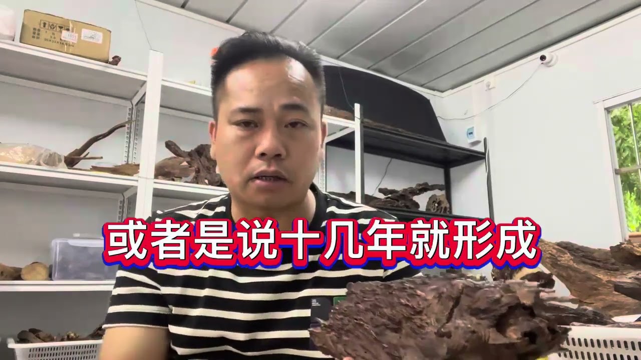 海南红降从那里来的，价格为何这么高，是不是因为网友的炒作？