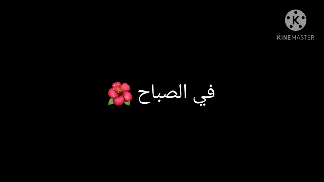 يوميات فريق نور مار الجزء العاشر 🥺💞 شنو صار بقمر 😱