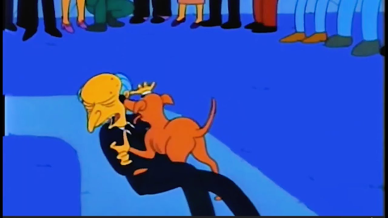 Simpsons ! 심슨 강아지에게 사랑받는 번즈