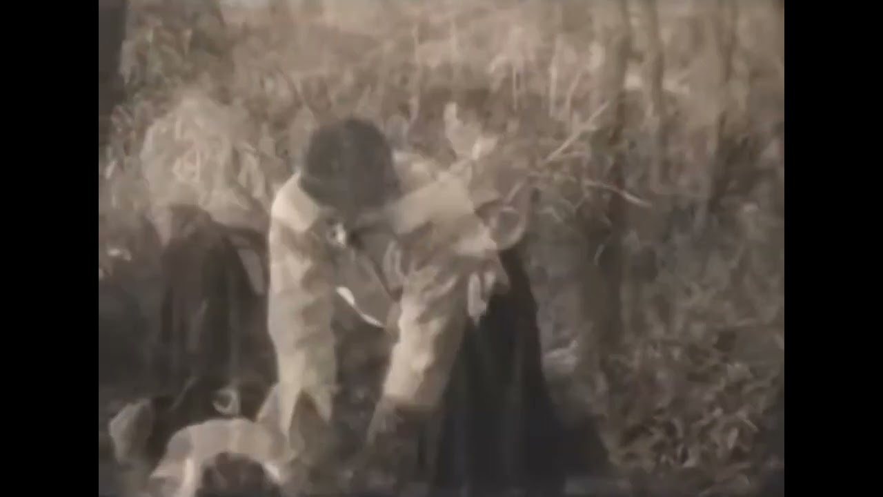 Shihonage from Katatedori - 1964 - Iwama