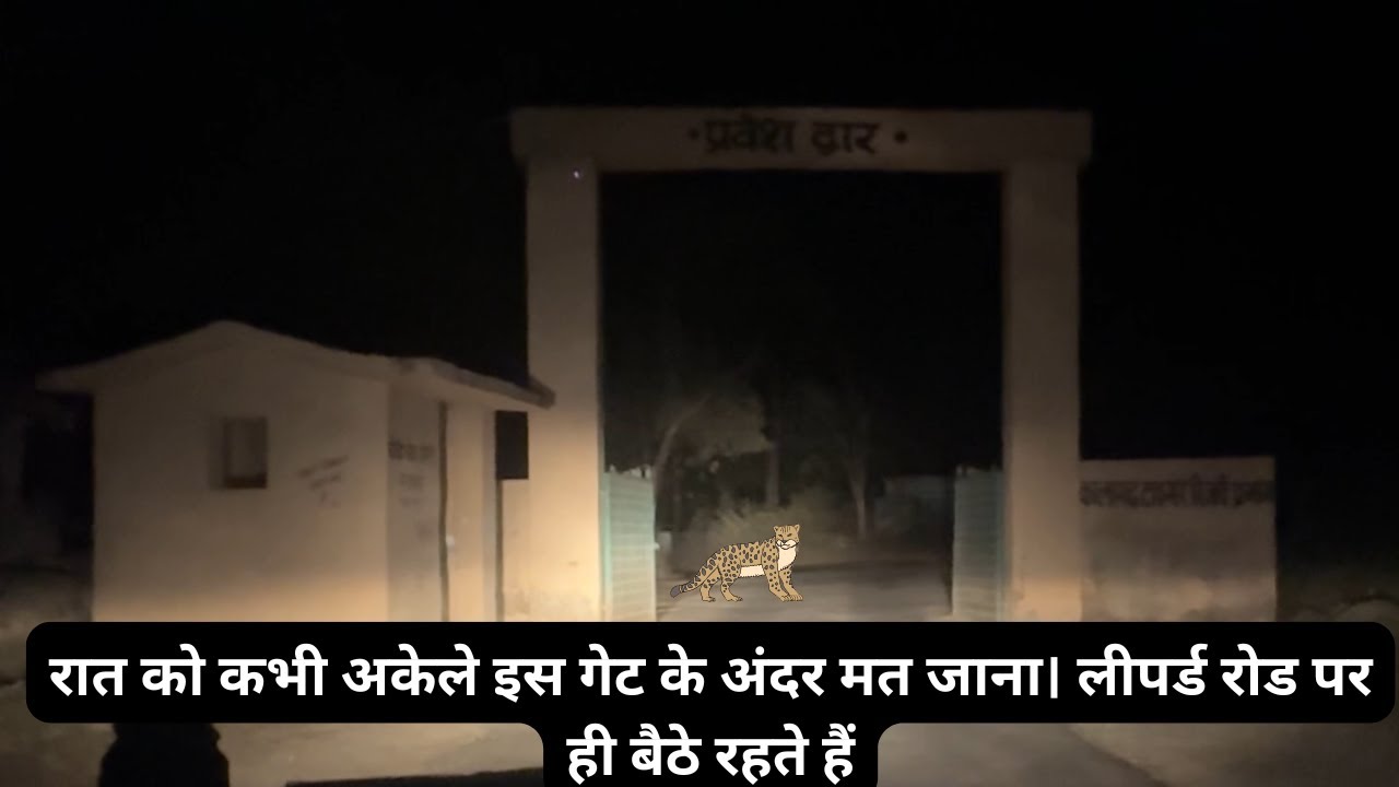 रात को कभी अकेले इस गेट के अंदर मत जाना। 🐆 Leopard रोड पर ही बैठे रहते हैं
