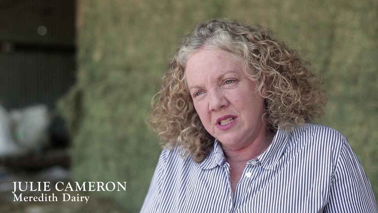 Meredith Dairy: Our Quality