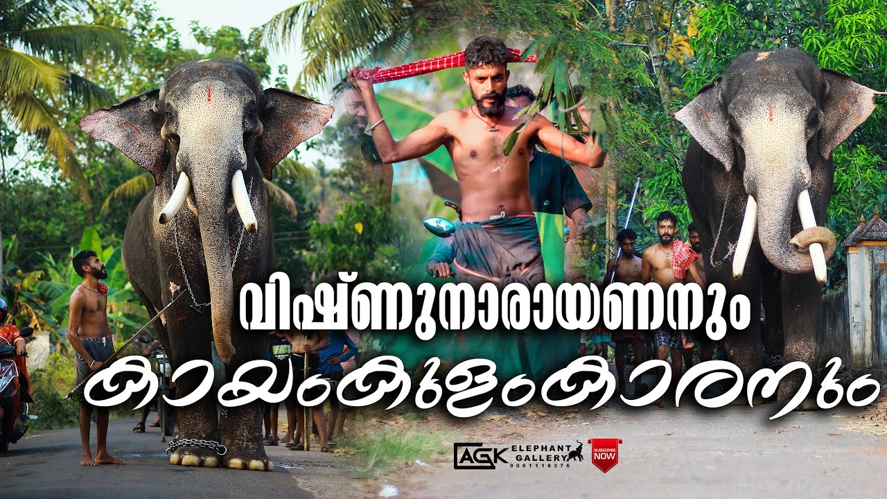 ഇളംകാവിലമ്മയുടെ സീമന്ത പുത്രൻ വിഷുനാരായണൻ I KAYAMKULAM SARATH