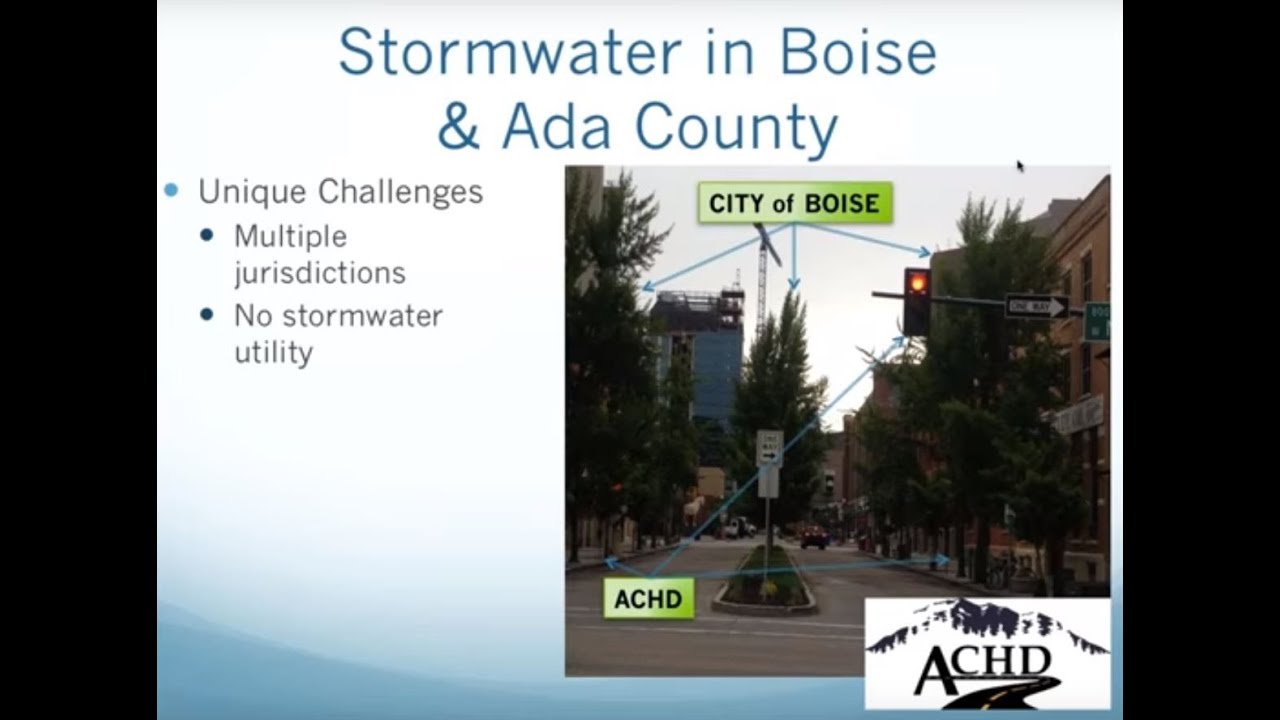 Webinar: Using tree assessment and stormwater management tools to guide design decisions