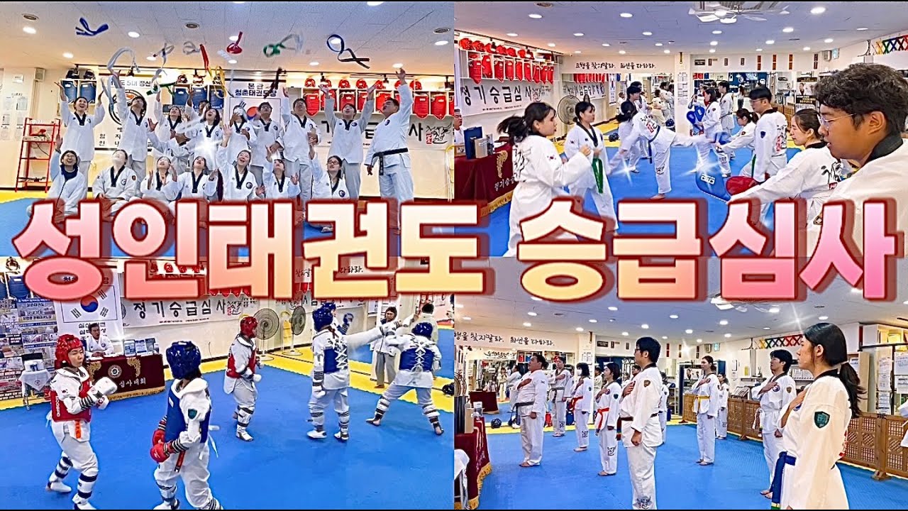 성인태권도장의 승급심사?! 꾸밈 없이 모두 공개합니다! [35회 정기승급심사]