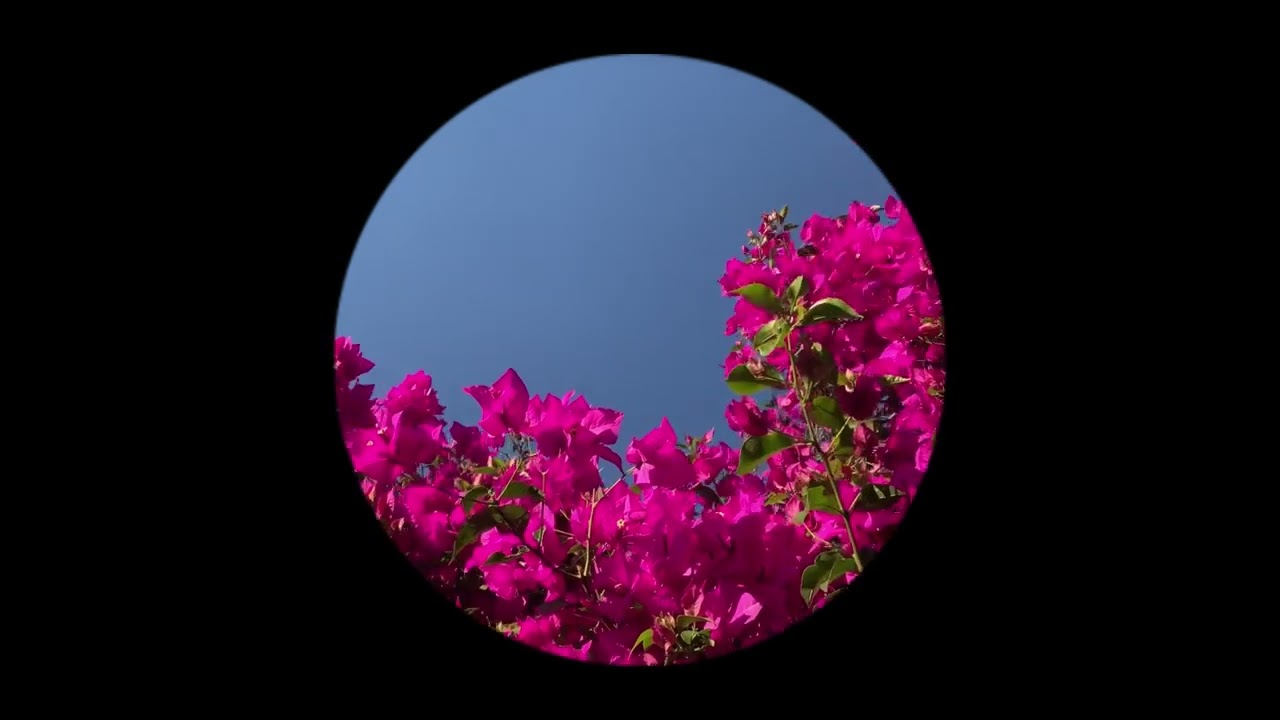 spring mix