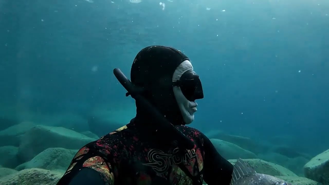 Spearfishing  :   Orate di Settembre.  (Sardegna meridionale)