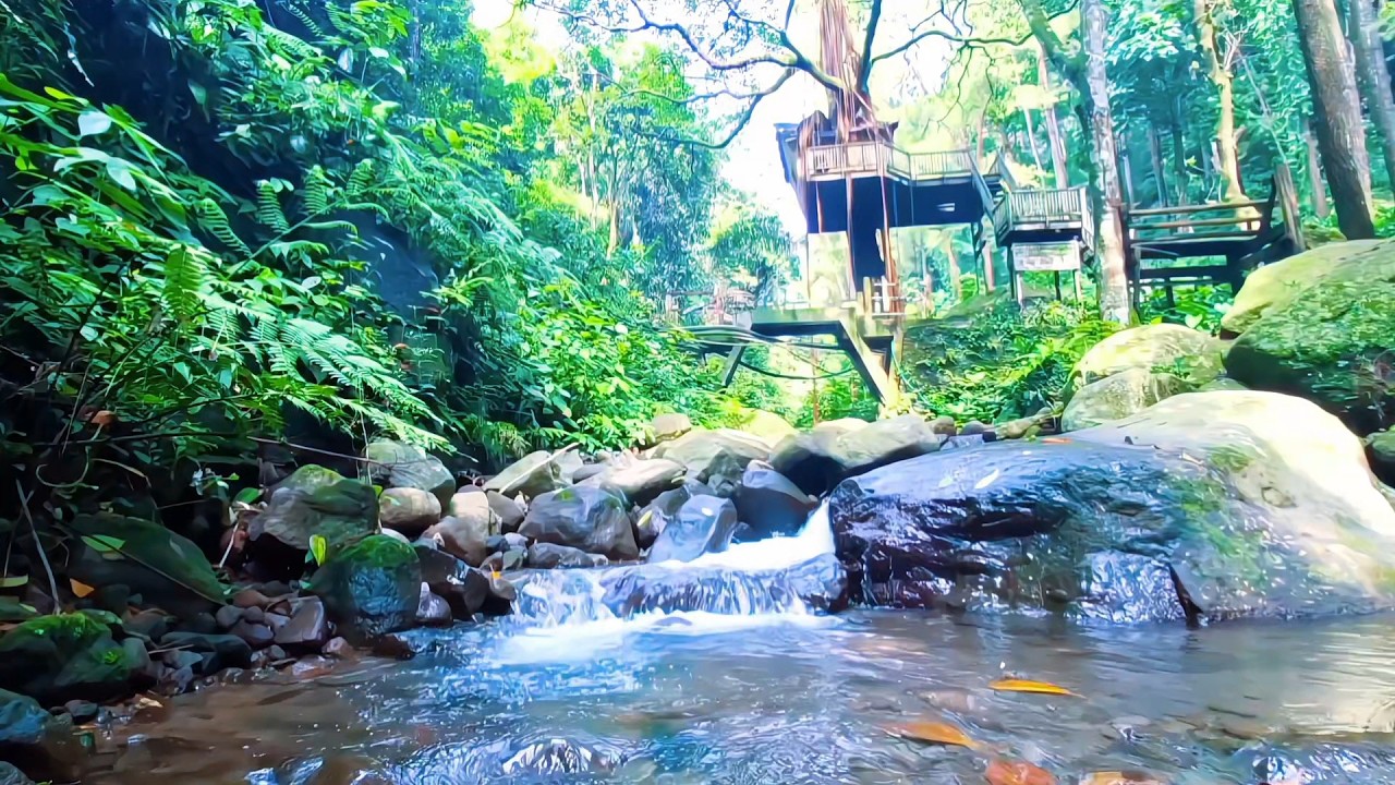 Soft River Flow for Peaceful Rest