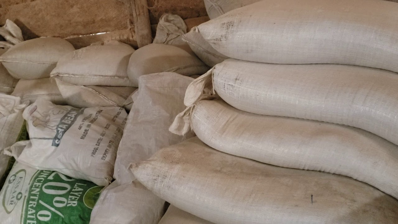The Machine || You Need And How to Prepare Your Poultry Feed.