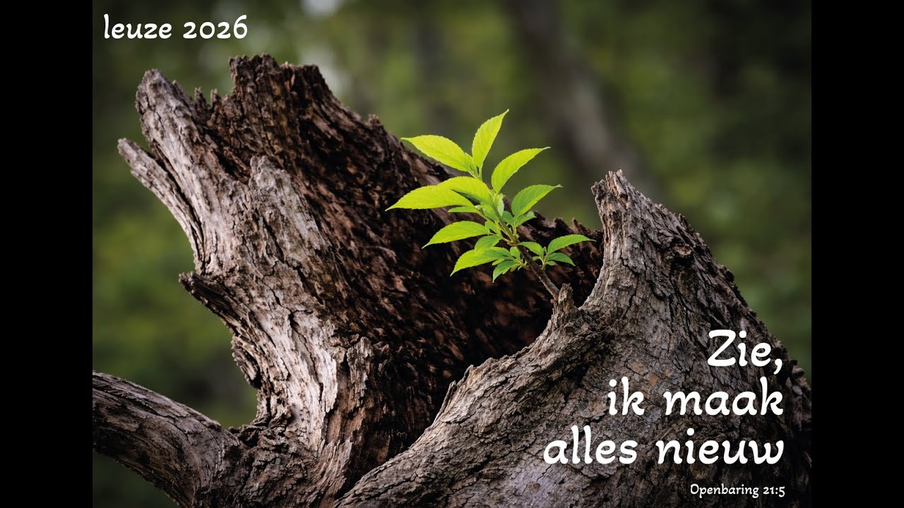 Eredienst 15 februari