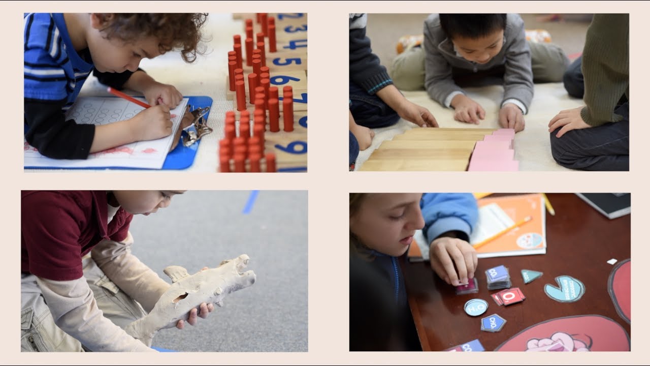 What is a Montessori School?