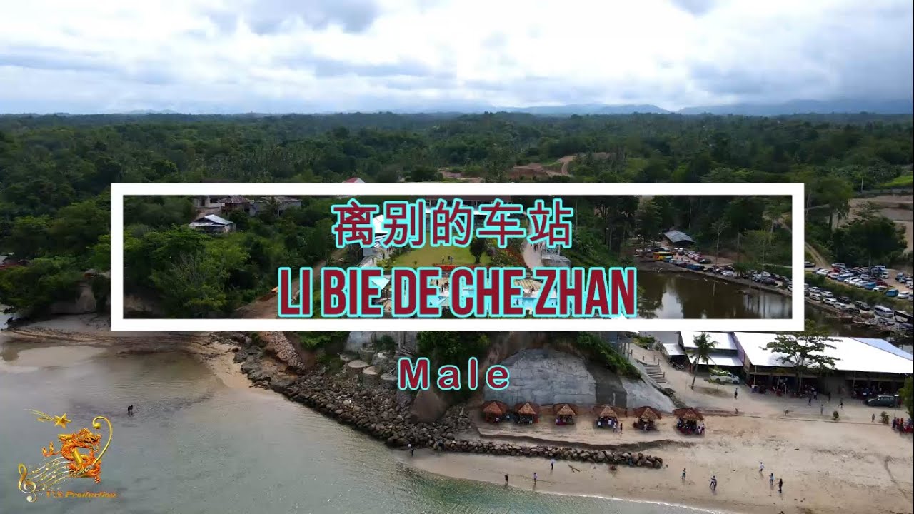 离别的车站x ( Li Bie De Che Zhan ) Male Version - Karaoke mandarin with drone view
