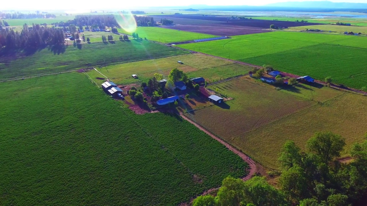 The White Dog Ranch