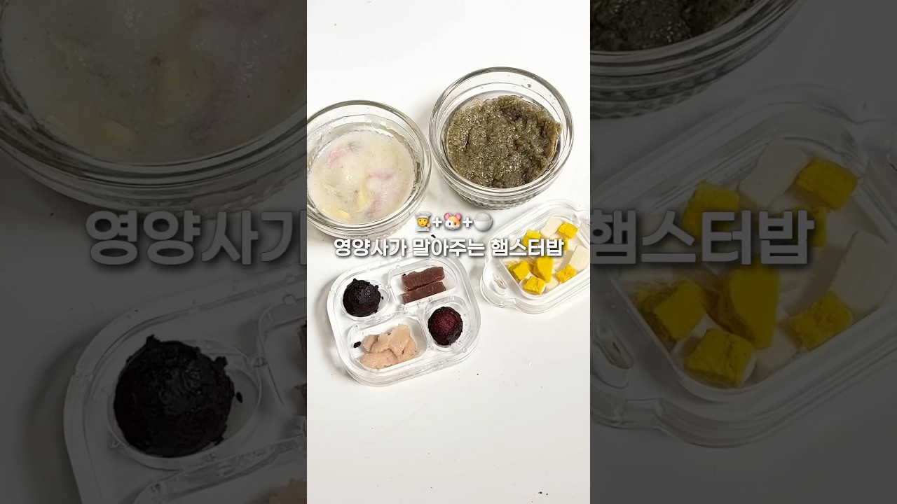 영양사가 차려주는 햄스터밥