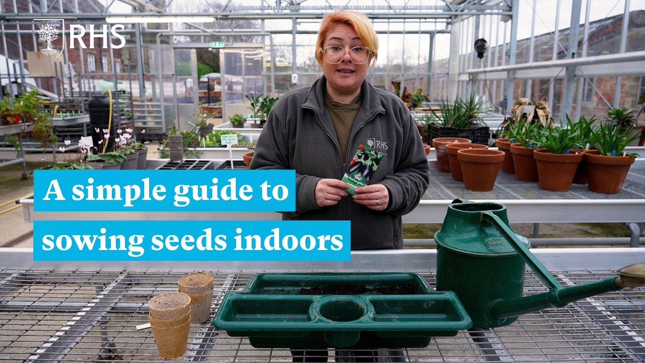 A simple guide to sowing seeds indoors &ndash; which seeds to sow now? | The RHS