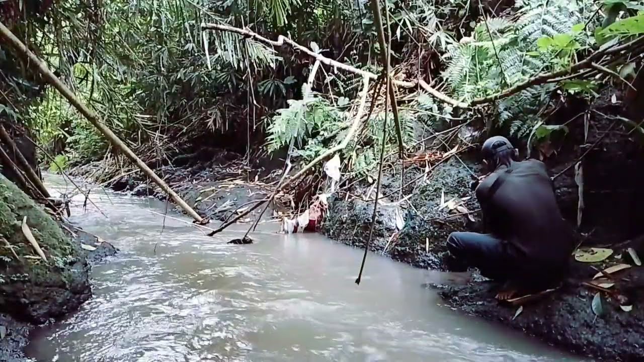 IKAN NYA LUMAYAN DISPOT INI!!!