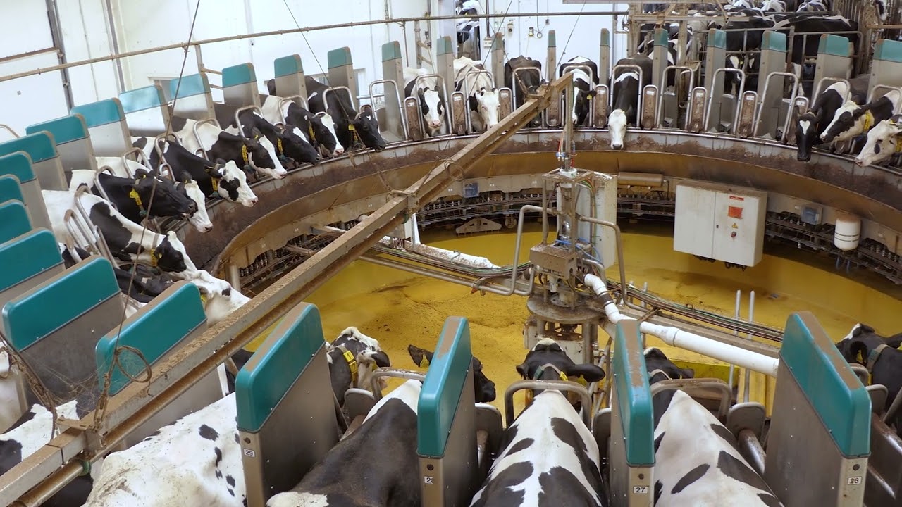 Modern&iacute; krav&iacute;n 21. stolet&iacute; od Farmtec