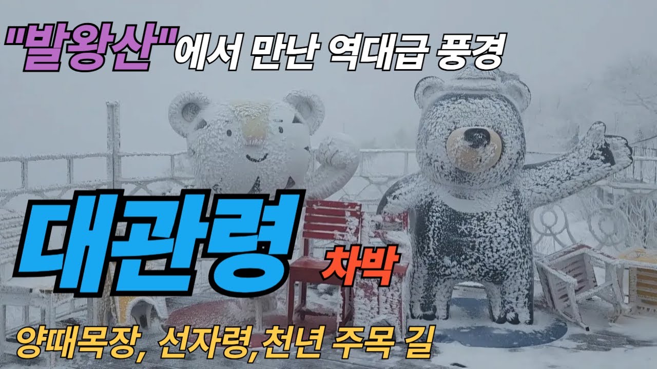 여기가 한국이야 스위스야? 대관령에서 차박!     발왕산 에서 만난 역대급 상고대 풍경