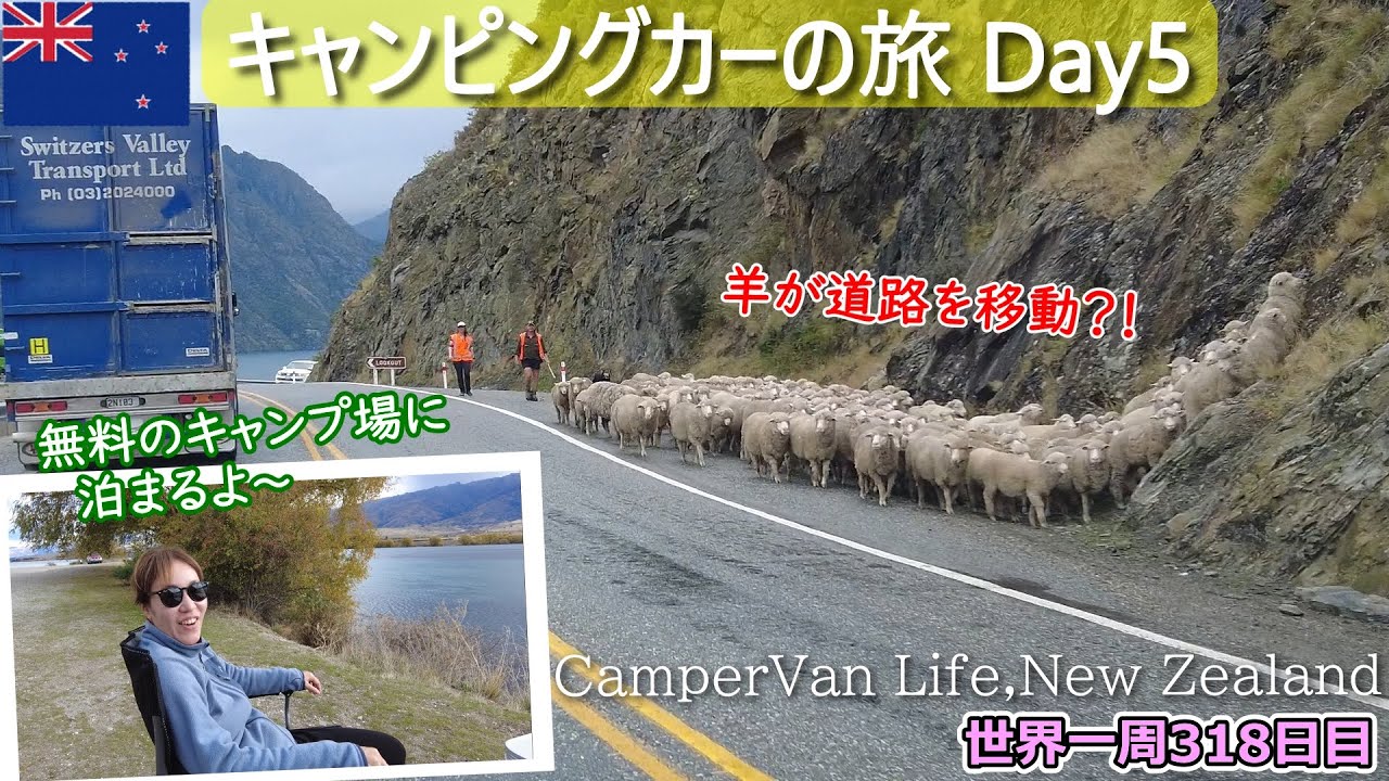 【世界一周Vlog#210】ニュージーランド南島を旅する✨モスバーン～クイーンズタウン～クロムウェル～ダンスタン湖畔へ！