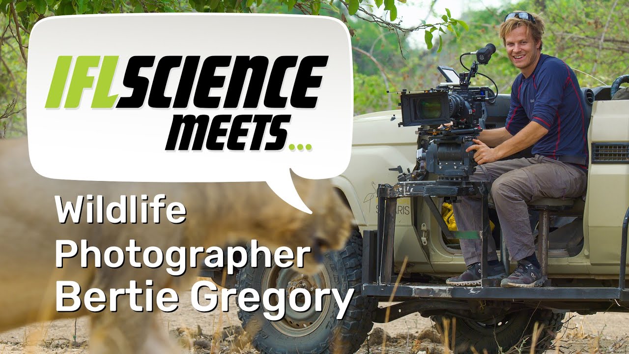 IFLScience Meets: Epic Adventures With Bertie Gregory
