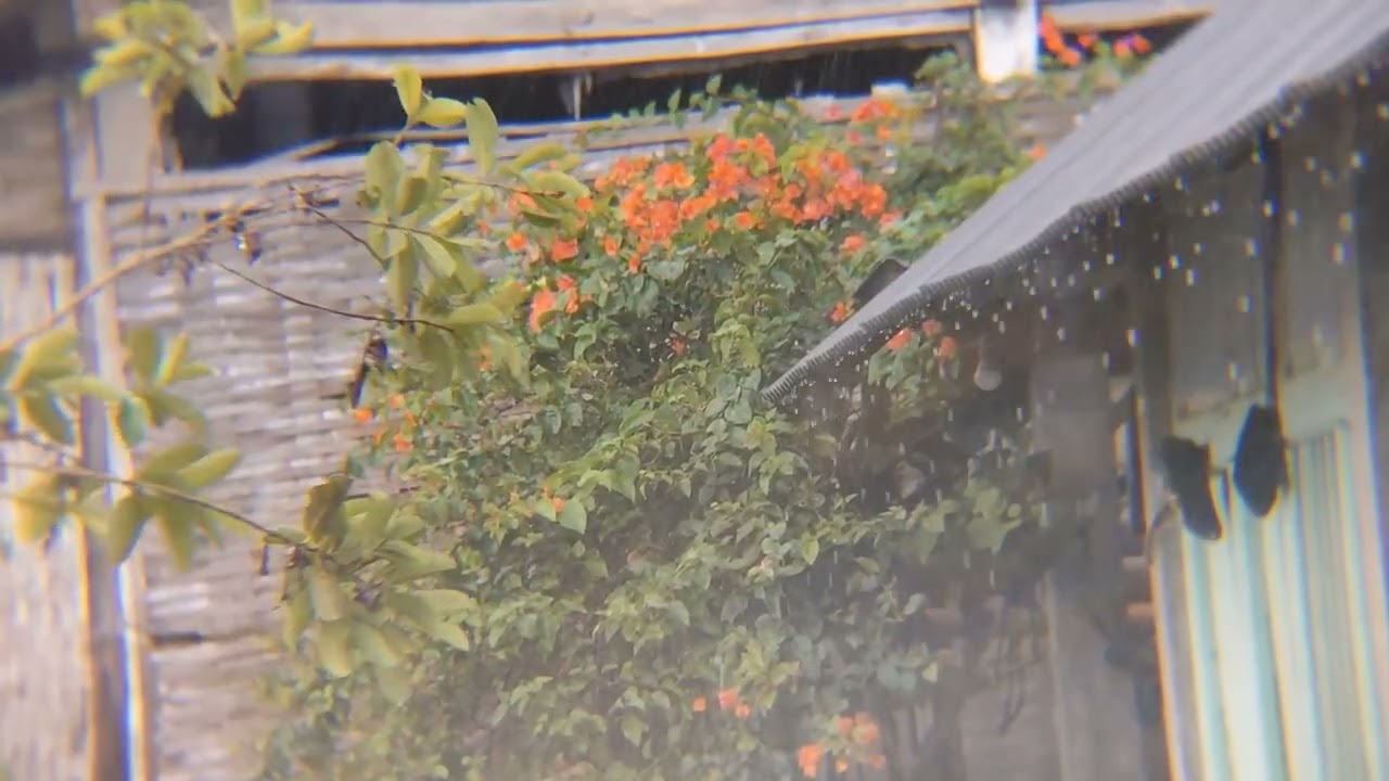 Calm Piano & Heavy Rain Sounds (Stress Relief)
