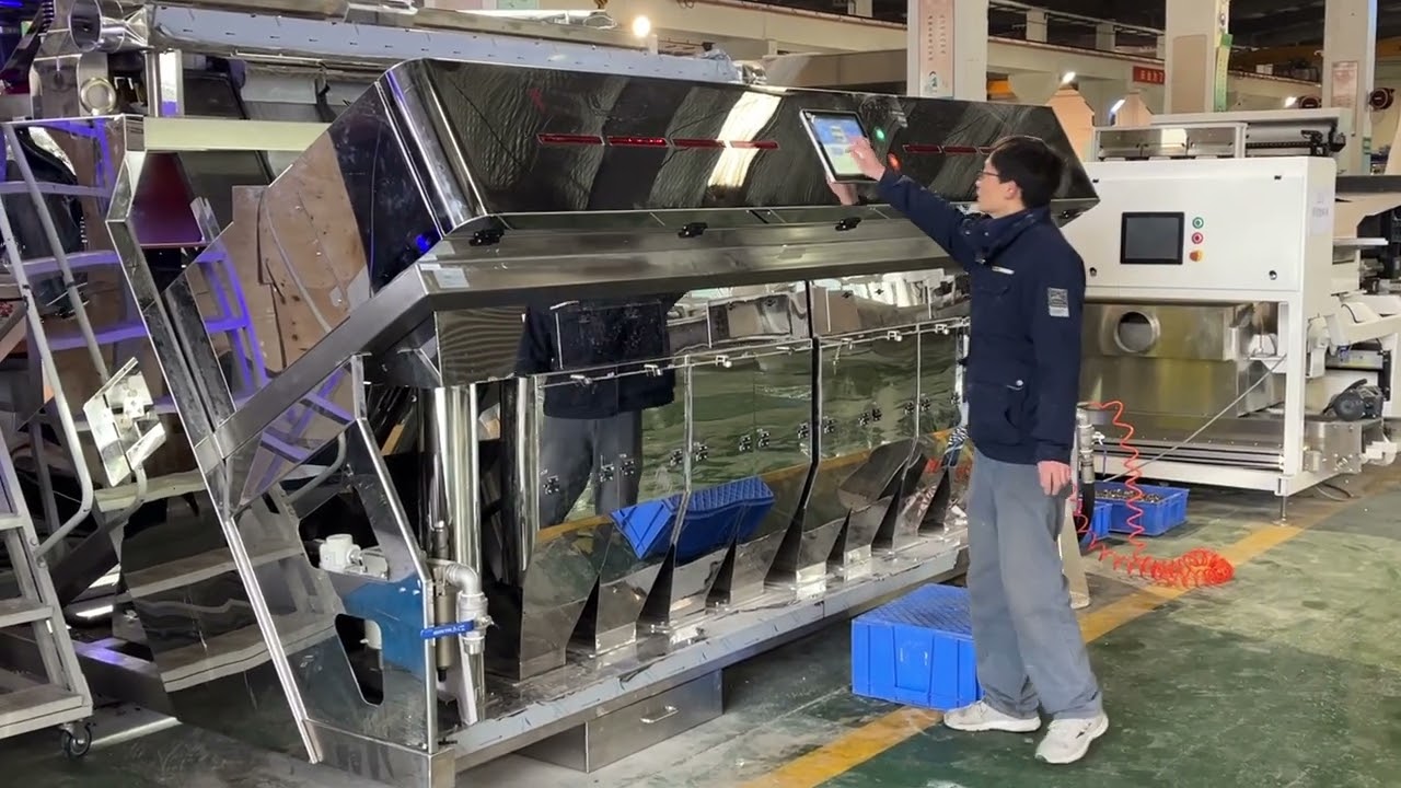 salt optical sorting machine