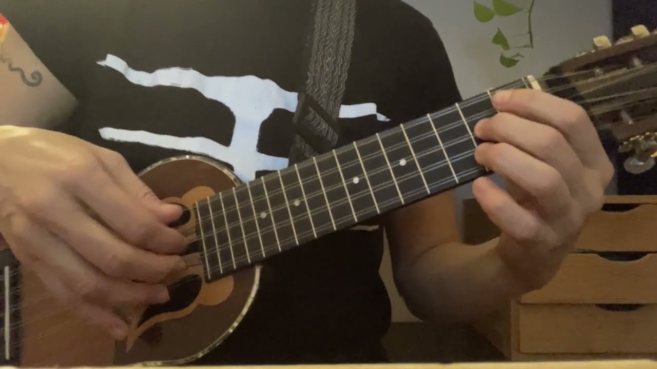 Ex. 106 - CHARANGO EXERCISE in Key of E minor * Turtle at Ease with groove *