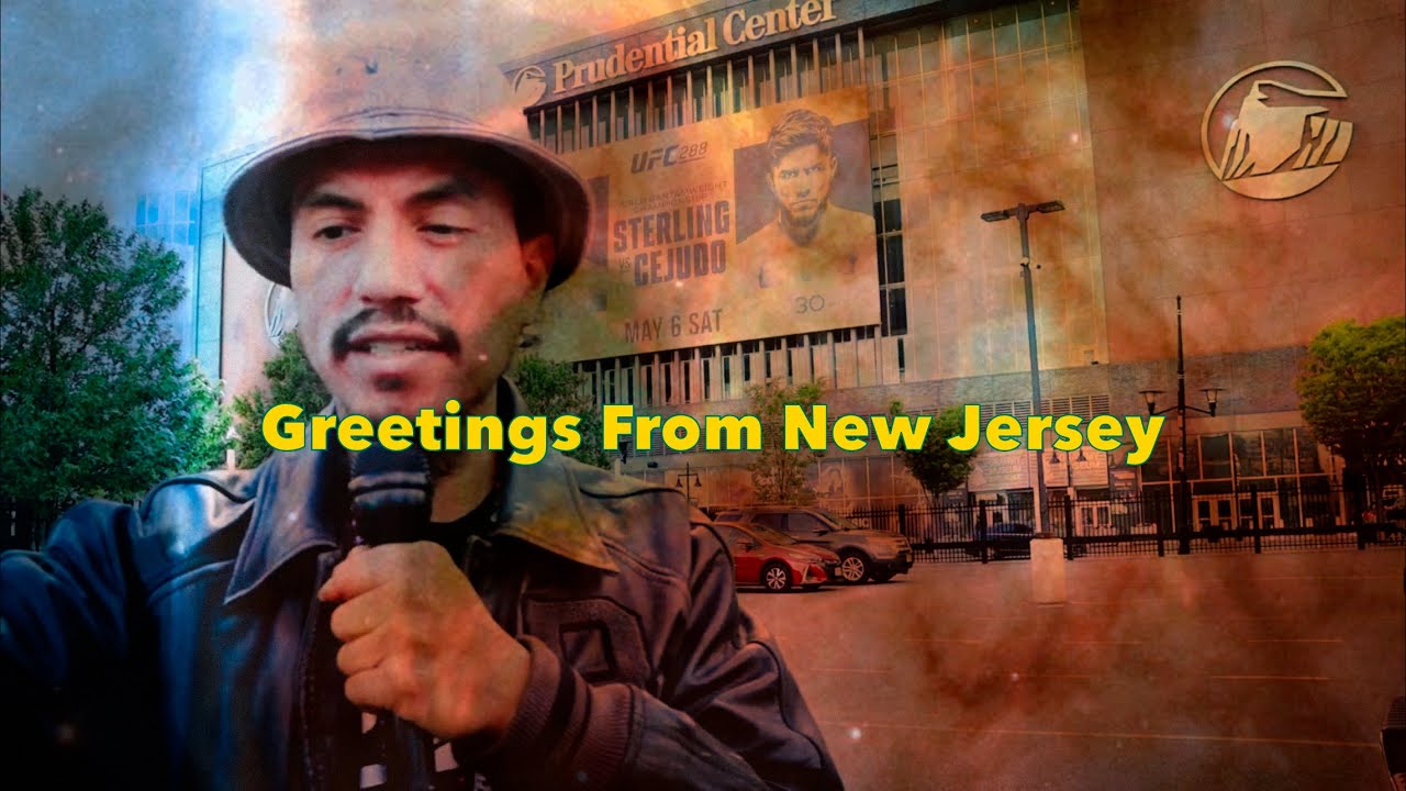 LEARNING: The World of MMA in New Jersey