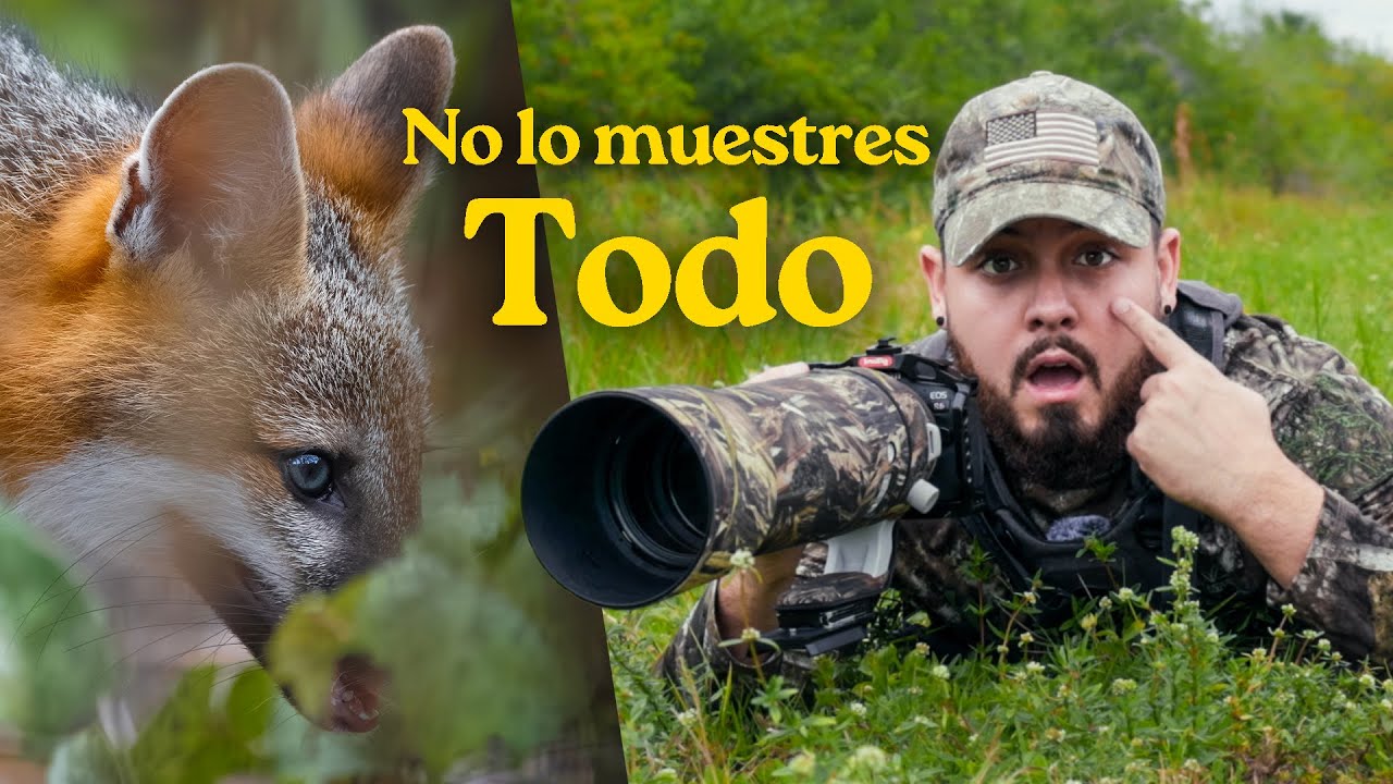 El Secreto para tomar Fotos de Fauna más PODEROSAS 💪📸