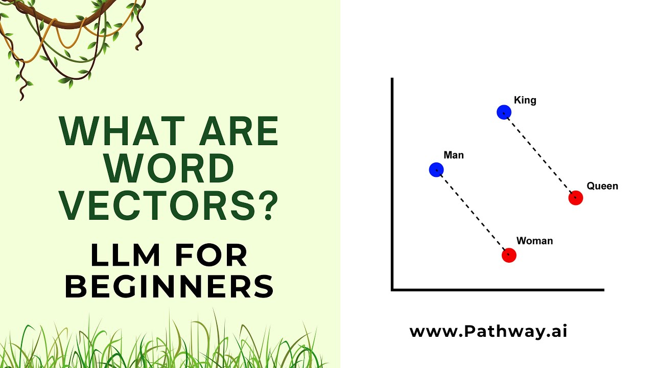 LLMs for beginners   What are Word Vectors?
