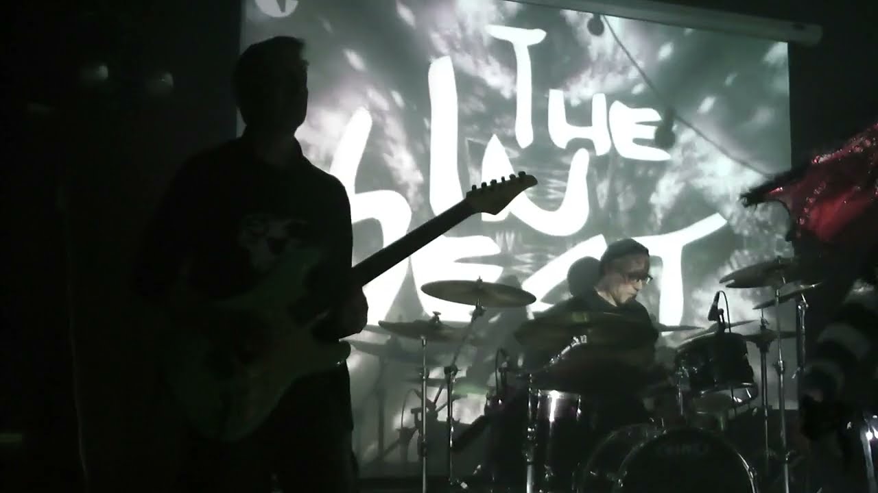 The InSect - Lending Room - Leeds - 07/02/26..