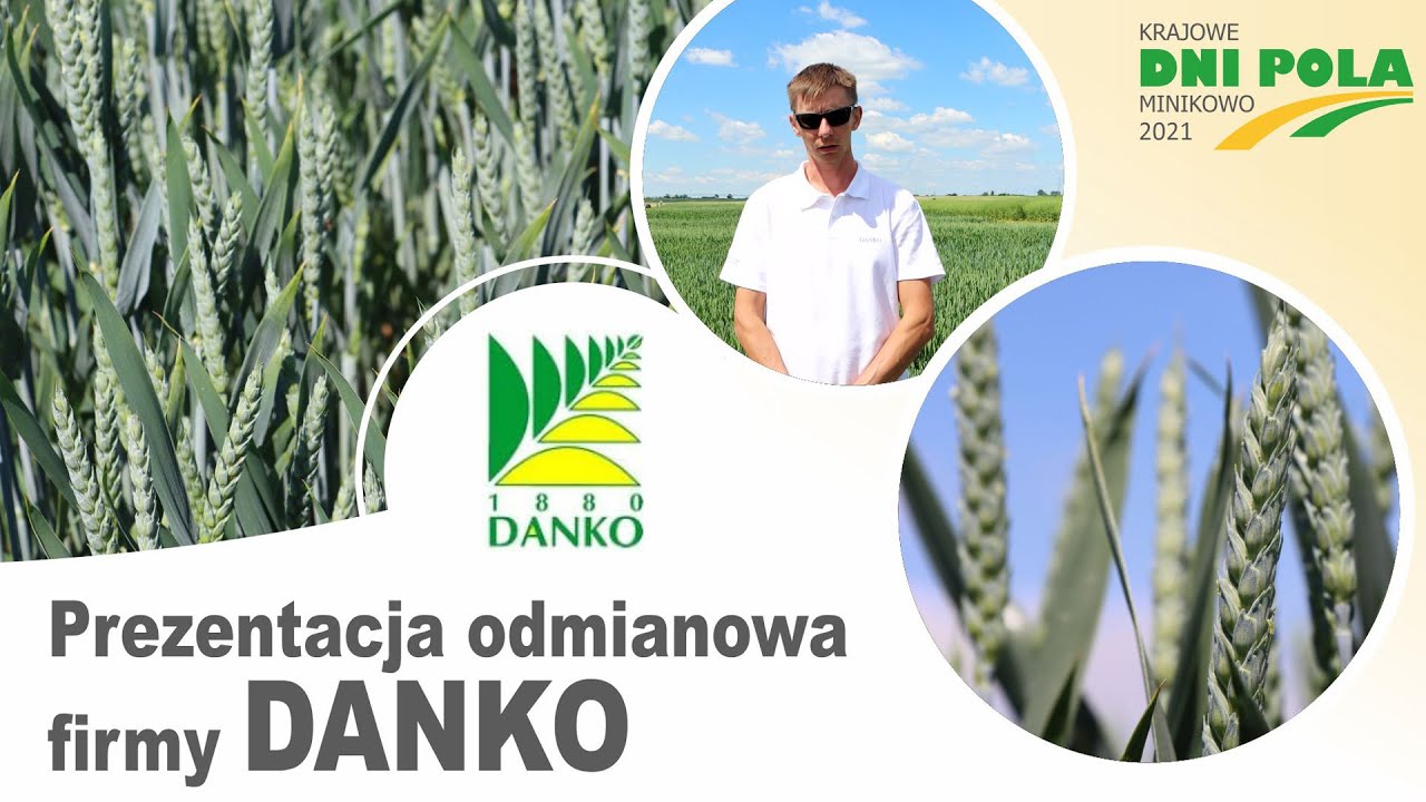 Krajowe Dni Pola 2021 - Prezentacja odmianowa firmy Danko