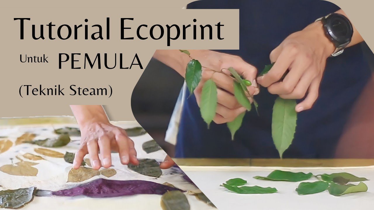 VALID!! Tutorial membuat ecoprint UNTUK PEMULA (teknik steam)