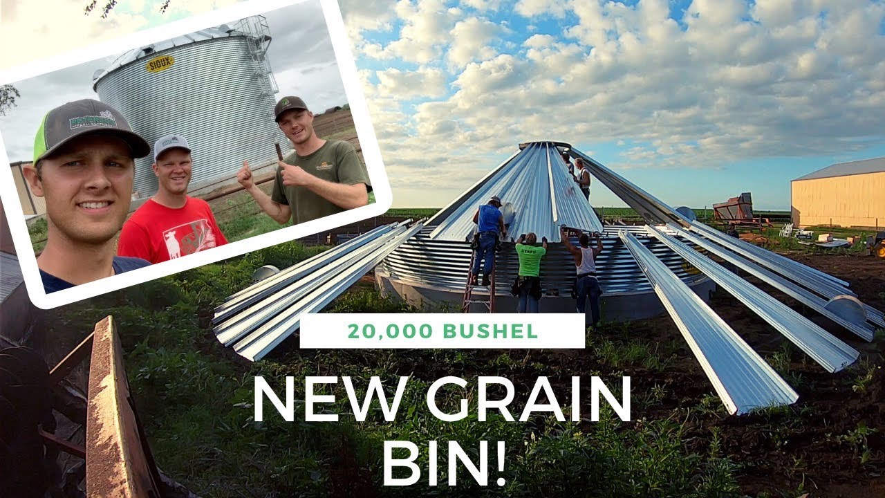 Building a GRAIN BIN!