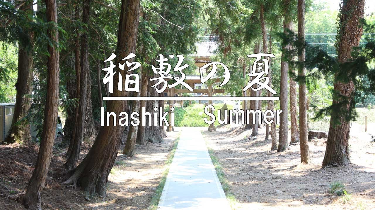 【稲敷市】稲敷の夏　Inashiki City, Ibaraki Prefecture, Japan,summer