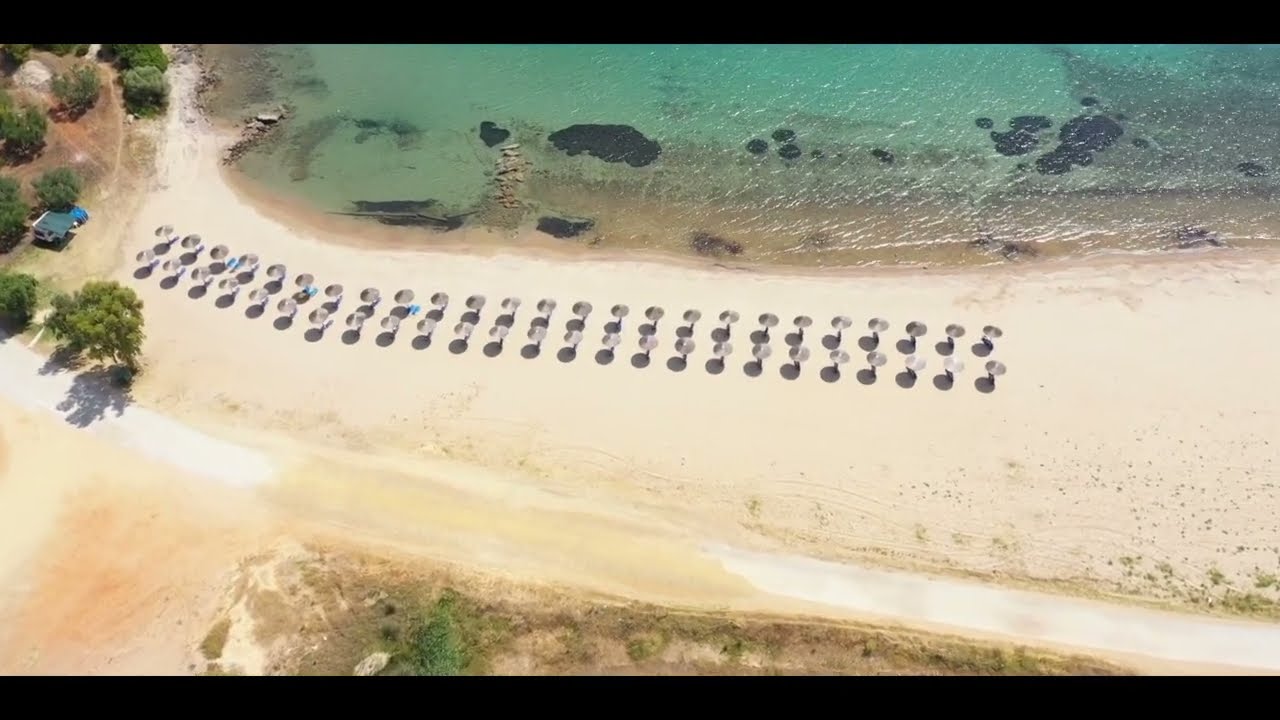 Village Mare  2022