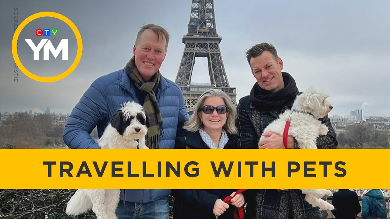 Bringing Your Pets With You When You Travel Across Canada & Internationally | Your Morning